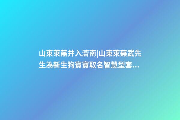 山東萊蕪并入濟南|山東萊蕪武先生為新生狗寶寶取名智慧型套餐-第1張-公司起名-玄機派